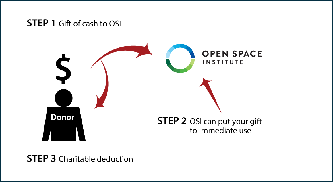Cash, Checks, and Credit Cards Diagram. Description of image is listed below.