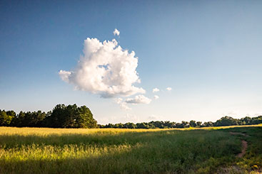 Clouds over a field. Links to Gifts from Retirement Plans Clouds over a field. Links to Gifts from Retirement Plans