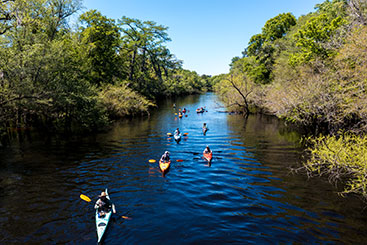 A group of people kayaking through some wetlands. Tangible Personal Property A group of people kayaking through some wetlands. Tangible Personal Property