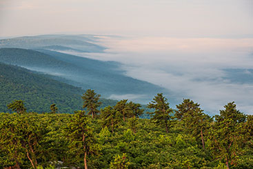 A fog over the mountains. Links to Beneficiary Designations A fog over the mountains. Links to Beneficiary Designations