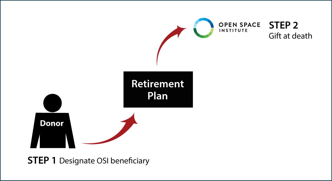 Gifts from Retirement Plans at Death Thumbnail