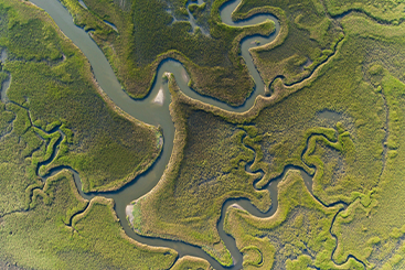 Aerial photo of winding rivers. Donor-Advised Funds Aerial photo of winding rivers. Donor-Advised Funds